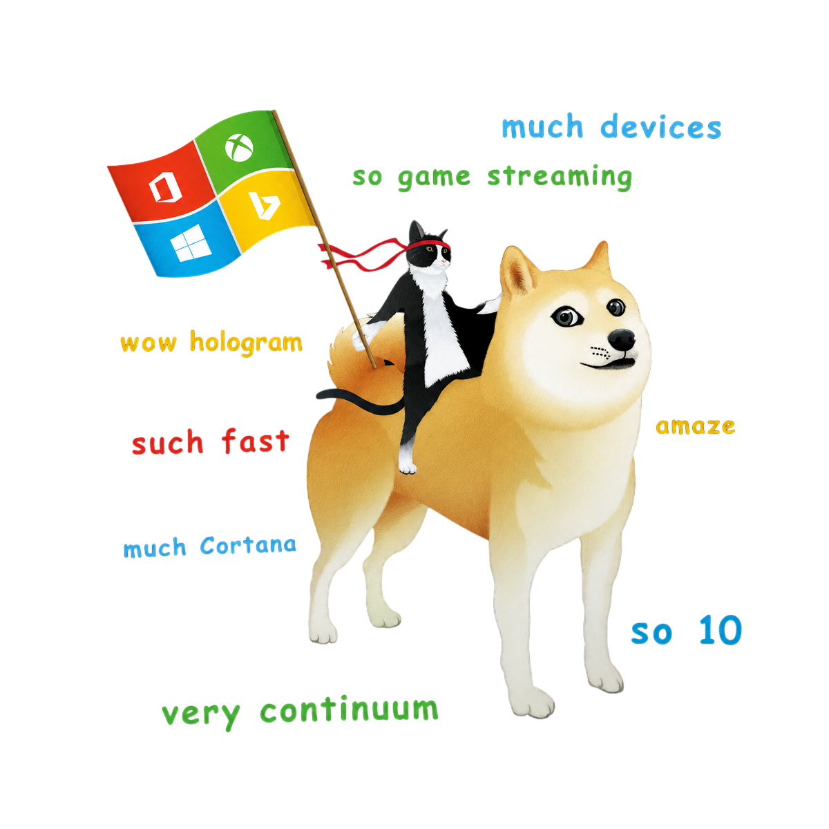 NinjaCat User